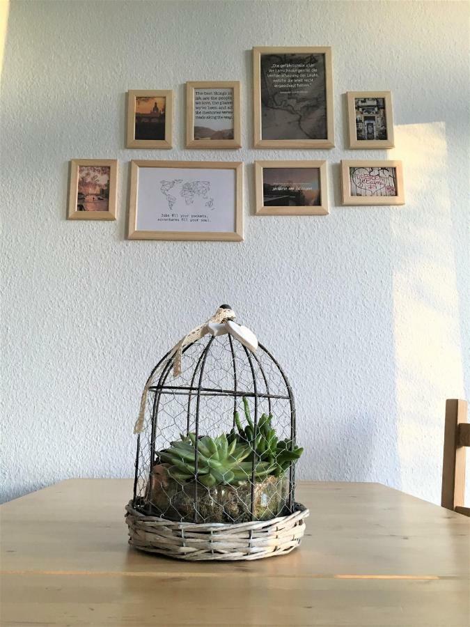 Ruhiges Apartment Am Rande Des Szeneviertels 德累斯顿 外观 照片
