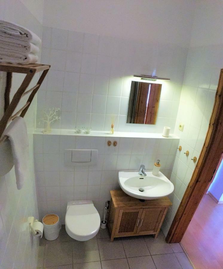 Ruhiges Apartment Am Rande Des Szeneviertels 德累斯顿 外观 照片